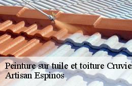Peinture sur tuile et toiture  cruviers-lascours-30360 Couvreurs gardois