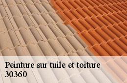 Peinture sur tuile et toiture  cruviers-lascours-30360 Couvreurs gardois