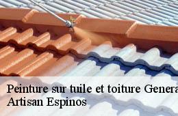 Peinture sur tuile et toiture  generargues-30140 Artisan Espinos