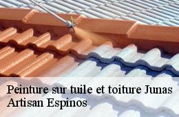 Peinture sur tuile et toiture  junas-30250 Artisan Espinos