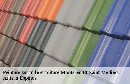 Peinture sur tuile et toiture  montaren-et-saint-mediers-30700 Artisan Espinos