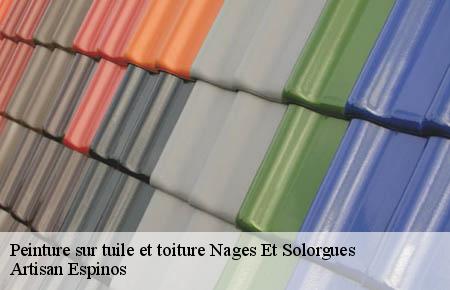Peinture sur tuile et toiture  nages-et-solorgues-30114 Artisan Espinos