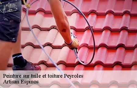 Peinture sur tuile et toiture  peyroles-30124 Artisan Espinos