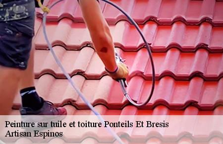 Peinture sur tuile et toiture  ponteils-et-bresis-30450 Artisan Espinos
