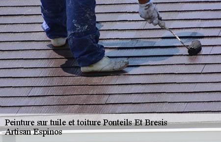 Peinture sur tuile et toiture  ponteils-et-bresis-30450 Couvreurs gardois