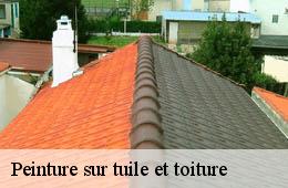 Peinture sur tuile et toiture  ponteils-et-bresis-30450 Couvreurs gardois