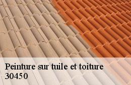 Peinture sur tuile et toiture  ponteils-et-bresis-30450 Couvreurs gardois