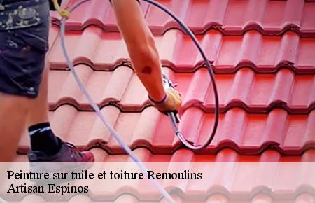 Peinture sur tuile et toiture  remoulins-30210 Artisan Espinos