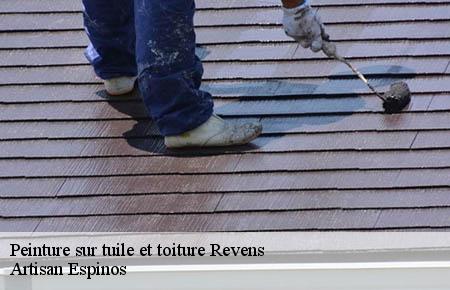 Peinture sur tuile et toiture  revens-30750 Artisan Espinos