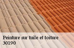 Peinture sur tuile et toiture  la-rouviere-30190 Couvreurs gardois