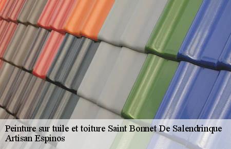 Peinture sur tuile et toiture  saint-bonnet-de-salendrinque-30460 Artisan Espinos