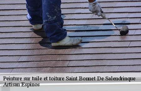 Peinture sur tuile et toiture  saint-bonnet-de-salendrinque-30460 Artisan Espinos