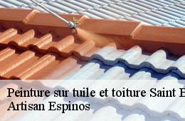 Peinture sur tuile et toiture  saint-bonnet-de-salendrinque-30460 Artisan Espinos