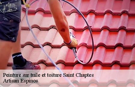 Peinture sur tuile et toiture  saint-chaptes-30190 Artisan Espinos