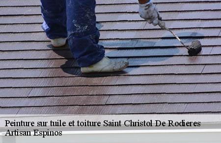 Peinture sur tuile et toiture  saint-christol-de-rodieres-30760 Artisan Espinos