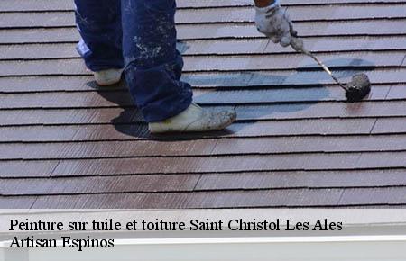 Peinture sur tuile et toiture  saint-christol-les-ales-30380 Artisan Espinos