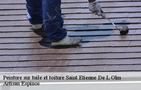 Peinture sur tuile et toiture  saint-etienne-de-l-olm-30360 Artisan Espinos