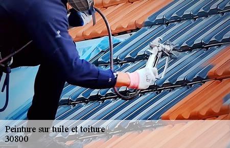 Peinture sur tuile et toiture  saint-gilles-30800 Artisan Espinos