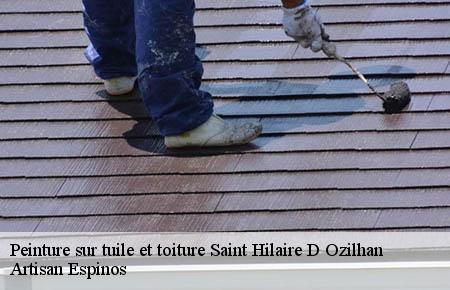 Peinture sur tuile et toiture  saint-hilaire-d-ozilhan-30210 Artisan Espinos