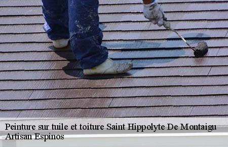 Peinture sur tuile et toiture  saint-hippolyte-de-montaigu-30700 Artisan Espinos