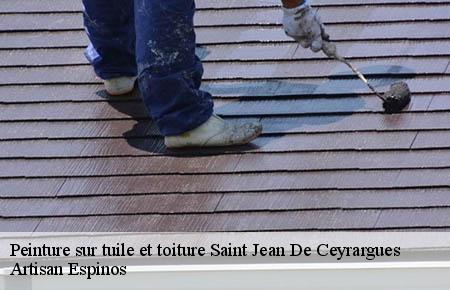 Peinture sur tuile et toiture  saint-jean-de-ceyrargues-30360 Couvreurs gardois