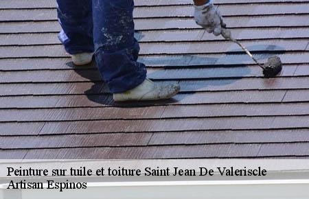 Peinture sur tuile et toiture  saint-jean-de-valeriscle-30960 Couvreurs gardois