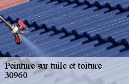 Peinture sur tuile et toiture  saint-jean-de-valeriscle-30960 Couvreurs gardois