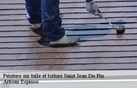 Peinture sur tuile et toiture  saint-jean-du-pin-30140 Artisan Espinos