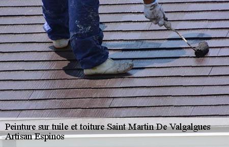 Peinture sur tuile et toiture  saint-martin-de-valgalgues-30520 Artisan Espinos