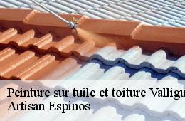 Peinture sur tuile et toiture  valliguieres-30210 Artisan Espinos