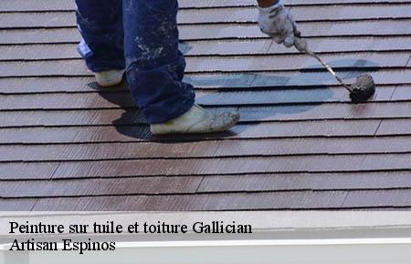 Peinture sur tuile et toiture  gallician-30600 Artisan Espinos