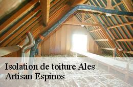 Isolation de toiture  ales-30100 Artisan Espinos