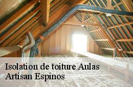 Isolation de toiture  aulas-30120 Artisan Espinos