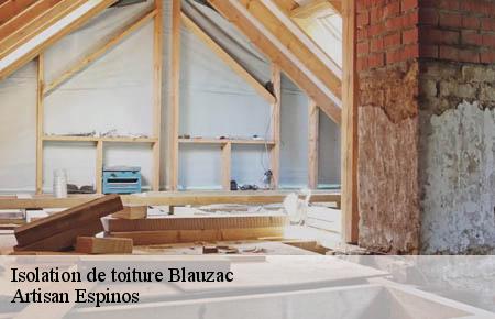 Isolation de toiture blauzac-30700 Artisan Espinos
