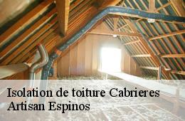 Isolation de toiture  cabrieres-30210 Artisan Espinos