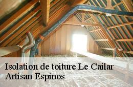 Isolation de toiture  le-cailar-30740 Artisan Espinos