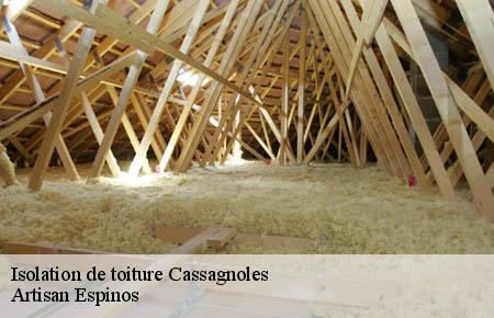 Isolation de toiture  cassagnoles-30350 Artisan Espinos