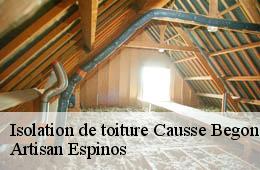 Isolation de toiture  causse-begon-30750 Artisan Espinos