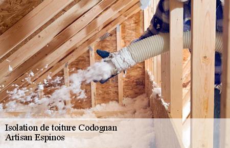 Isolation de toiture  codognan-30920 Artisan Espinos