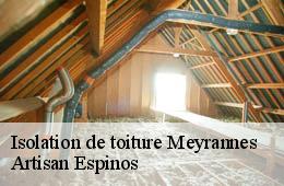 Isolation de toiture  meyrannes-30410 Artisan Espinos