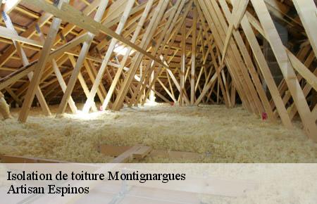 Isolation de toiture  montignargues-30190 Artisan Espinos