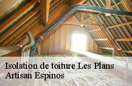 Isolation de toiture  les-plans-30340 Artisan Espinos