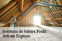 Isolation de toiture  poulx-30320 Artisan Espinos