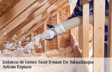 Isolation de toiture  saint-bonnet-de-salendrinque-30460 Artisan Espinos
