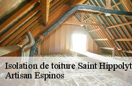 Isolation de toiture  saint-hippolyte-de-montaigu-30700 Artisan Espinos