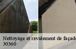 Nettoyage et ravalement de façade  cruviers-lascours-30360 Couvreurs gardois