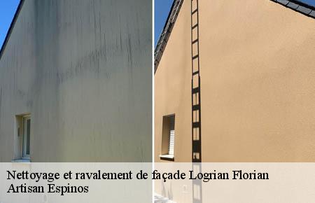 Nettoyage et ravalement de façade  logrian-florian-30610 Artisan Espinos