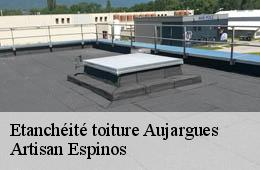 Etanchéité toiture  aujargues-30250 Artisan Espinos