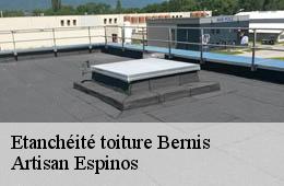 Etanchéité toiture  bernis-30620 Couvreurs gardois