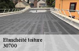 Etanchéité toiture  blauzac-30700 Artisan Espinos